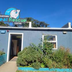 Seal Rescue was our 1st stop. We really enjoyed hearing their story and seeing the rescued seals.