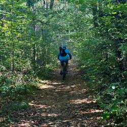 Trail ride on the Drava