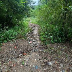 And this is the path Apple wants me to take!