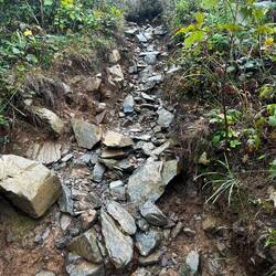 Maybe I chose the less traveled route