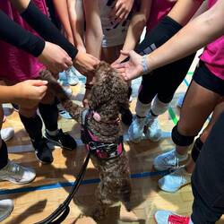 Daisy is in the huddle