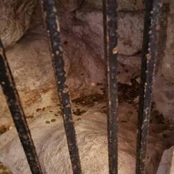 Die Grotte