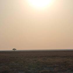 Langsam geht die Sonne über den Weiten des Etosha-Nationalparks unter