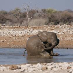 Juhuuu, Baden im Dreckwasser! 🥳