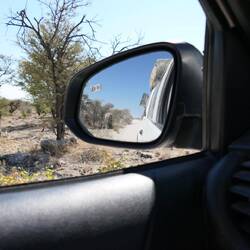 Hier sollte man seinen Rückspiegel immer im Blick behalten...