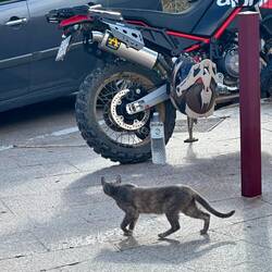 Mauzi ist fasziniert vom Chloé