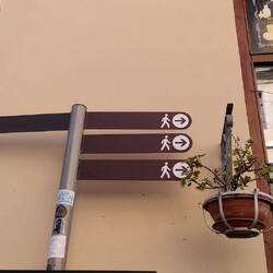 Wohin gehen wir?