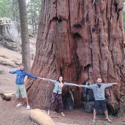 Hard to hug the whole tree...need at least 7 people