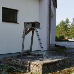 Astrocat-Haus mit Treppe gegen Füchse