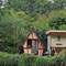Such a cute higgledy piggledy shed just north of the Fleur de Lis