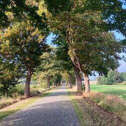 Hier wird man ganz schön durchgerüttelt.