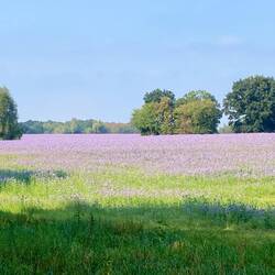 😍, die Sonne kommt raus.