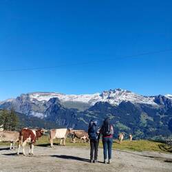 Grössenunterschied unsere Rucksäcke (Camping vs. Hotelvariante 😉)