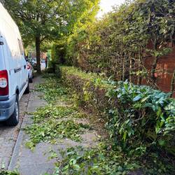 Hecke weg