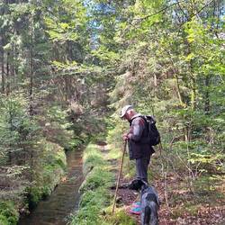 ...der immer schmaler wird!