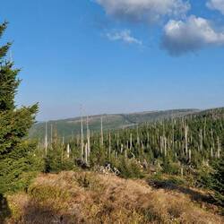 Der Ausblick nach Tschechien war etwas trostlos!