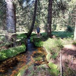 Aus dem Osterbachkanal...