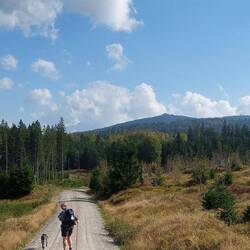 Der erste Blick auf unser Ziel, den Dreisesselberg!