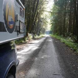 Ab in den Wald für die Übernachtung.