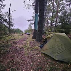 Ready for the night...