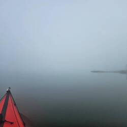 Foggy