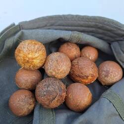 Macadamianüsse??!! Konnte hier keiner beantworten😄