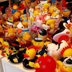 Konkurrenz und Kontrastprogramm