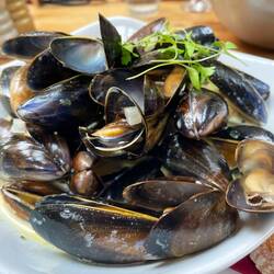 Delicious mussels