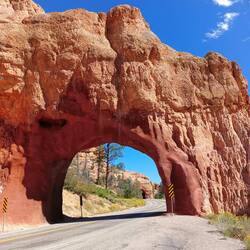 Red Canyon