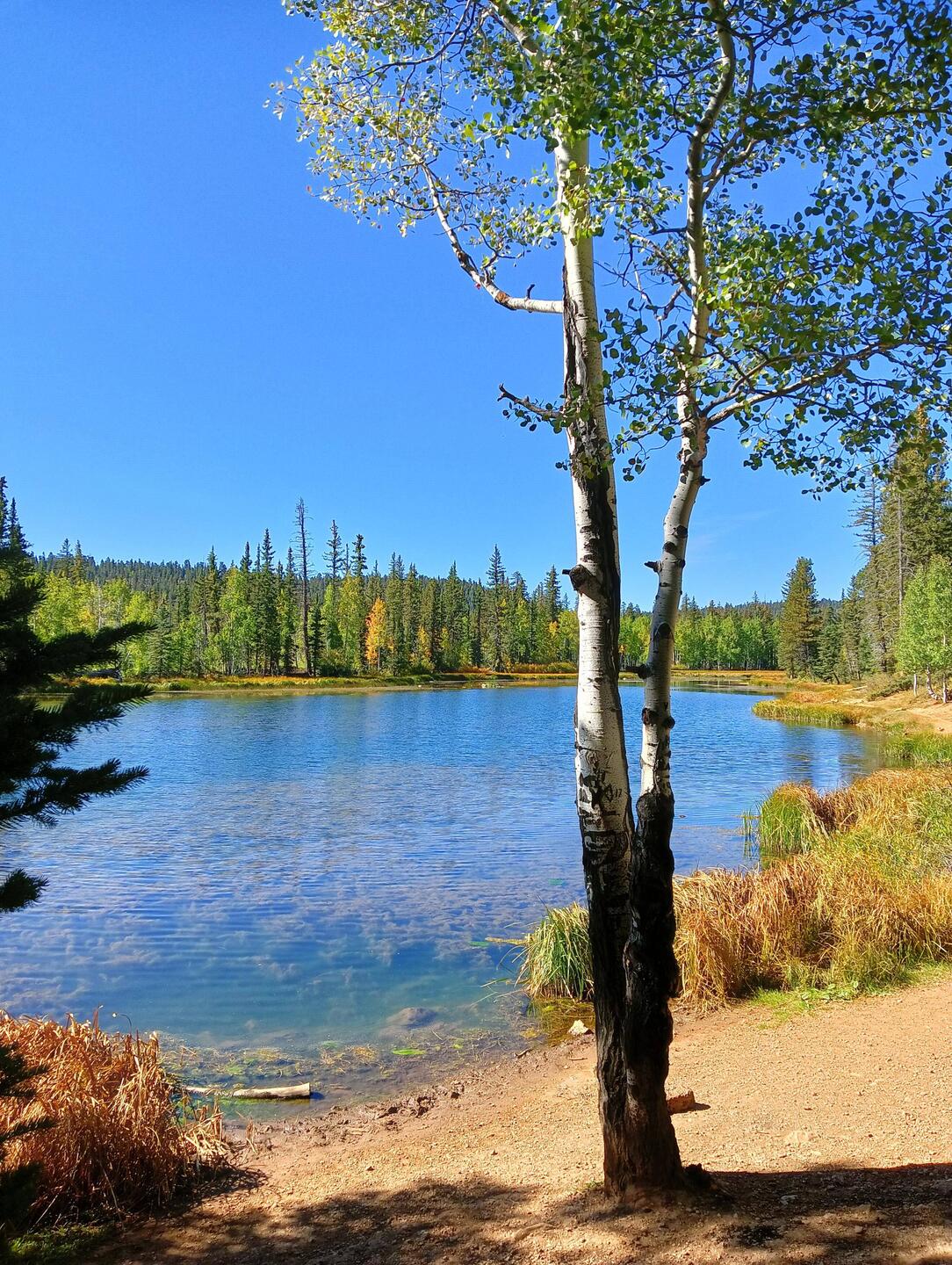 Aspen Mirror Lake