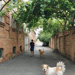 Der Hund war gut drauf und Herr Linguini konnte toben