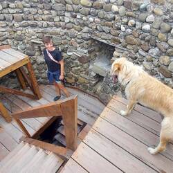 Totto muss natürlich auch nach ganz oben. Runter wird dann schwierig😃