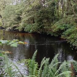 Quatse River