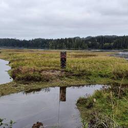 Port Hardy Bay / Inlet