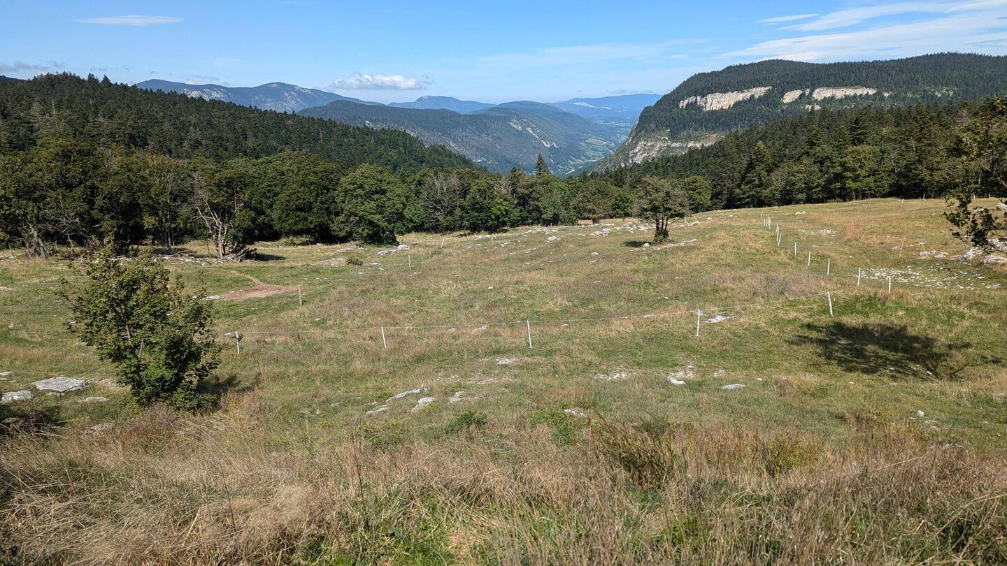 At the Plateau de Beurre above the Col de Rousset.