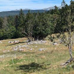 Heading back to the higher Alps