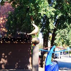 Lachmöwe in Action😂