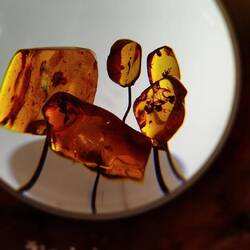 Kleine Blumen auf ewig konserviert