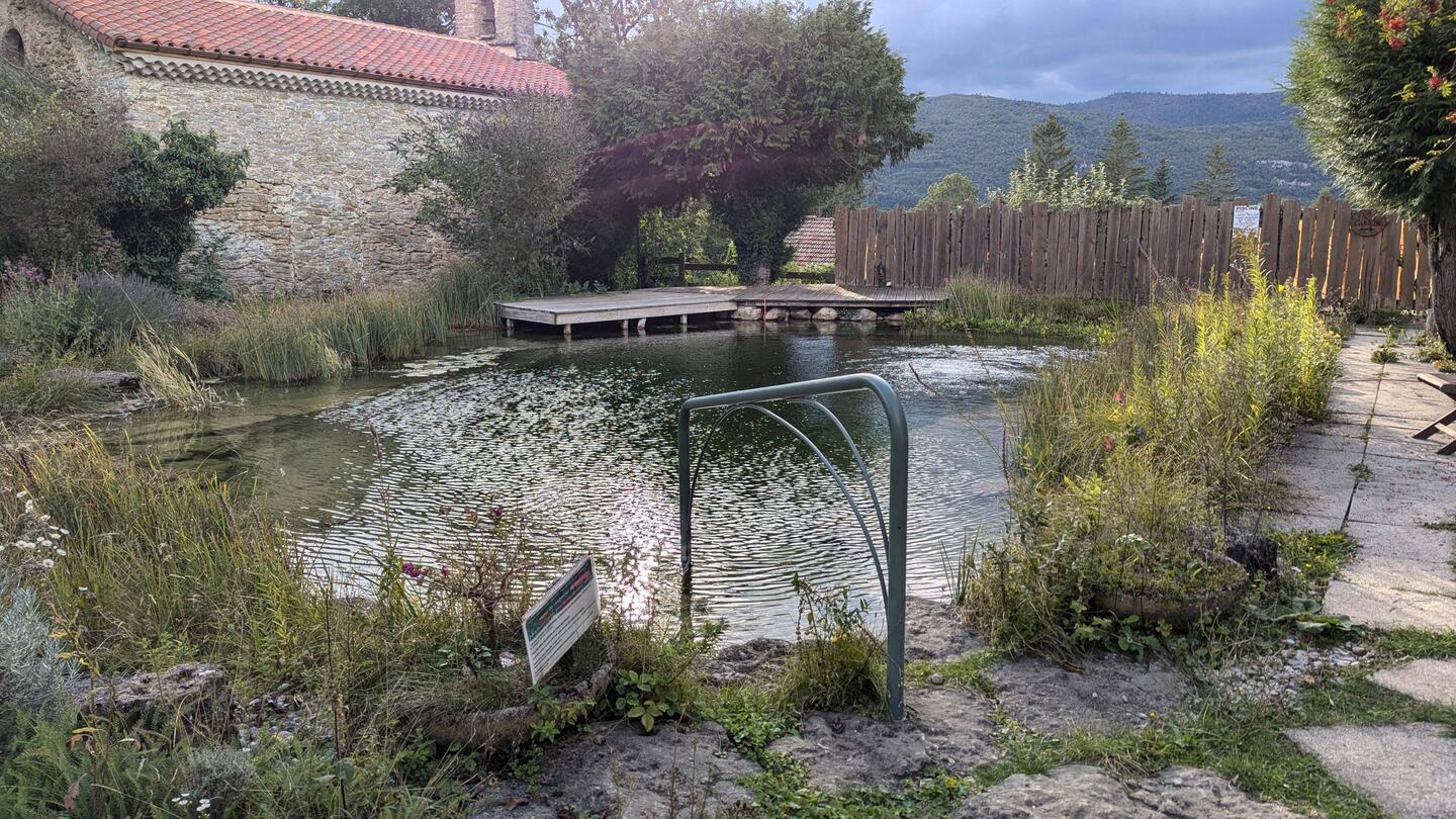 The hotel pool transformed with gravel and plants into an eco-friendly alternative to pool chemicals