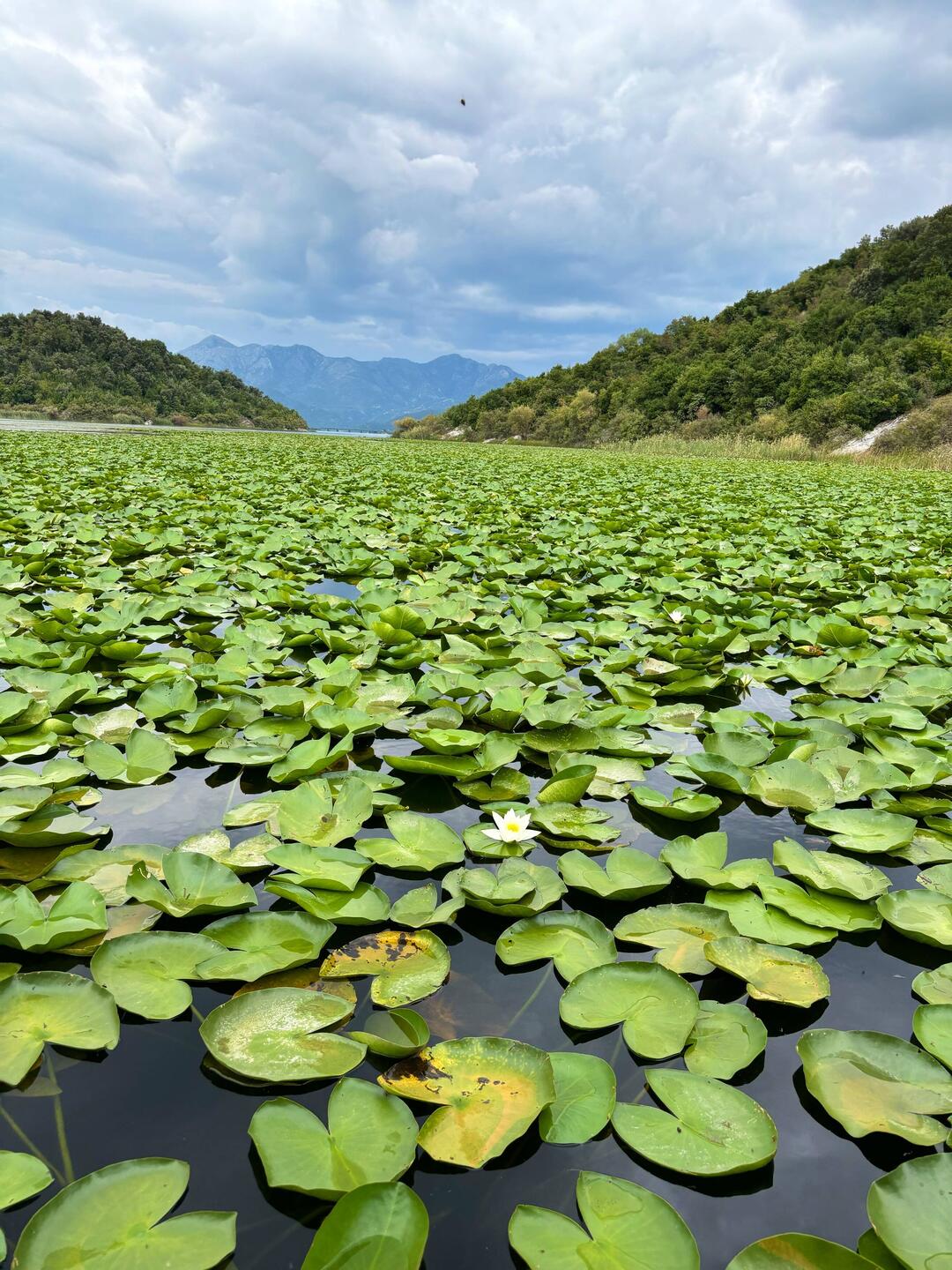 Mittwoch, 18.09. | Ulcinj