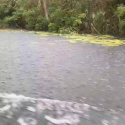 Am Ende der Bootstour gab es ein heftiges Gewitter