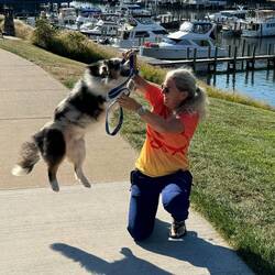 A guy offered to take our picture. And this was Moki's pose 🤣🤣