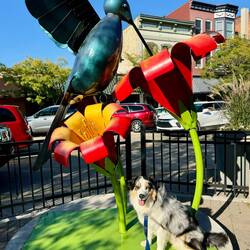 A Moment of Joy 2021