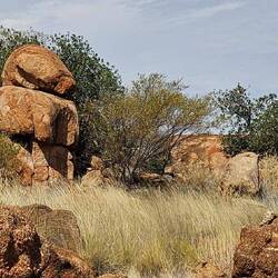 Can you see the Teddy's Bear