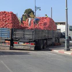 Zu viele Zwiebel, der LKW ist zusammengebrochen und muss umgeladen werden