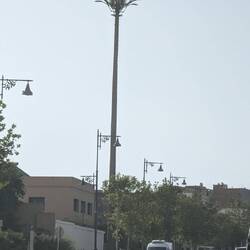 Funkmast un Palmenform
