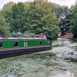 Jeremy at the tiller 👨‍✈️ The swans weren't happy to be disturbed