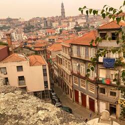 View of rooftops from Porto Cathedral