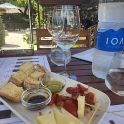 Wine tasting at Gentilini Winery