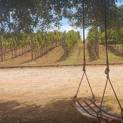 Gentilini Winery